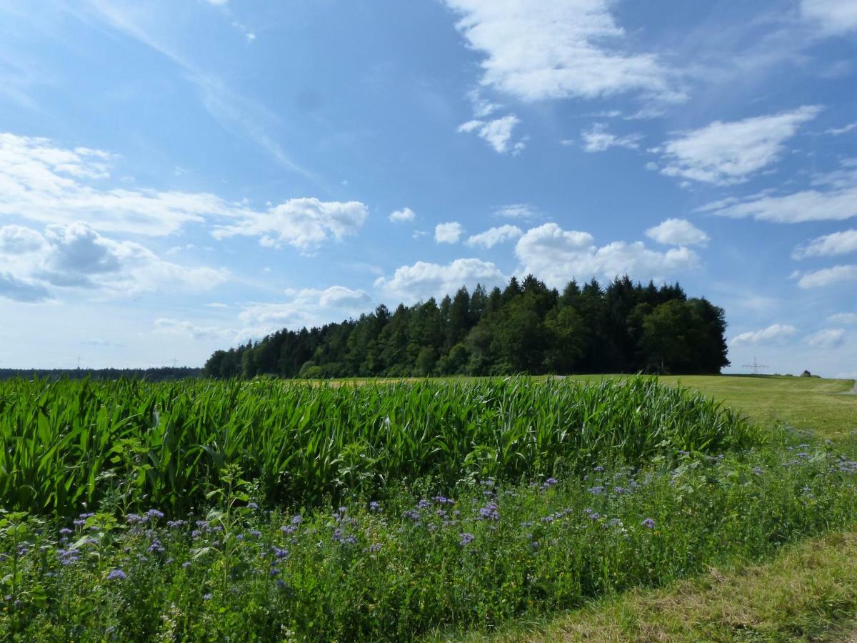 Landgasthaus Sonne Freudenstadt Eksteriør billede